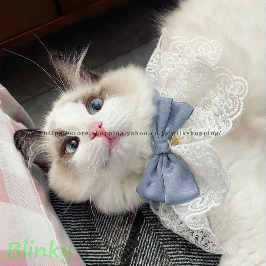ねこ イヌ ペット 首輪 チョーカー アクセサリー リボン かわいい 