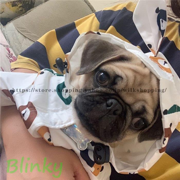 犬 服 フレンチブルドッグ レインコート 防水ジャケット 犬服 ドッグ