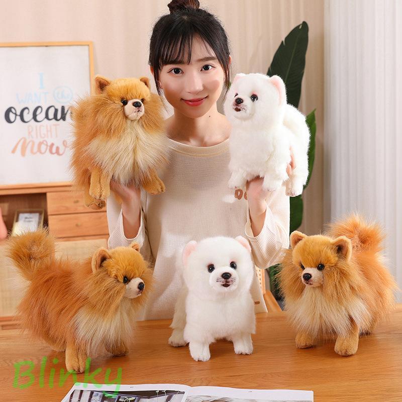 ポメラニアン　犬　ぬいぐるみ　リアル　ふわふわ　② 伏せ ぬいぐるみ ポメラニアン 犬 リアル 本物そっくり 生々しい いぬ 抱き