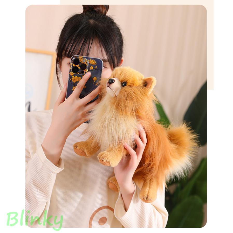 ぬいぐるみ ポメラニアン 犬 リアル 本物そっくり 生々しい いぬ 抱き