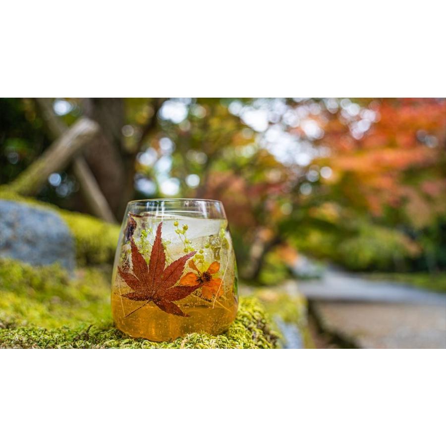 シーナリーキャンドル キャンドル 手作り おしゃれ ランタン 誕生日 パーティー キャンプ ギフトなどにどうぞ 秋バージョンオータムが登場 N ブリスフルタイム 通販 Yahoo ショッピング