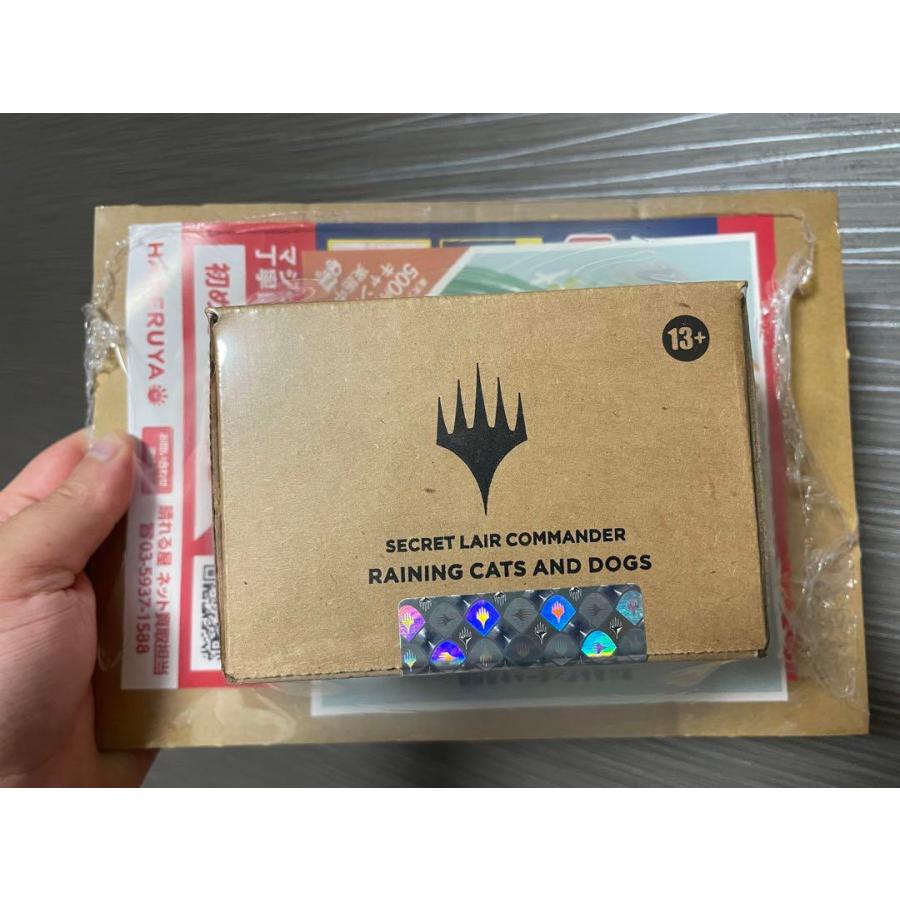 Secret Lair Raining Cats and Dogs : Bloeiヤフー店 - 通販 - Yahoo