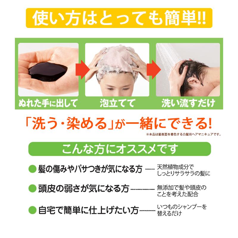 期間限定 送料無料 利尻カラーシャンプー シャンプーブラシ付セット 母の日 0532 Blondieblond 通販 Yahoo ショッピング