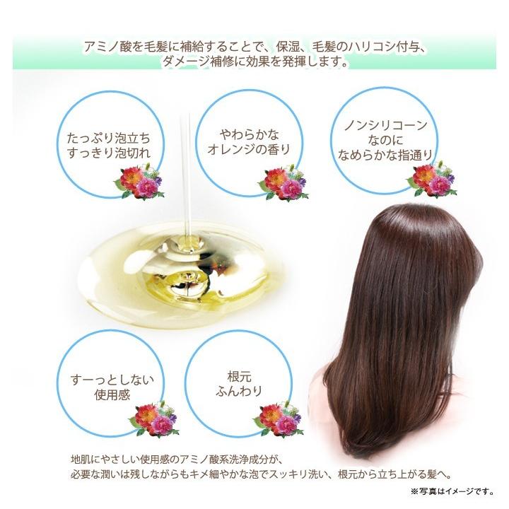 薬用 利尻頭皮シャンプー コンディショナーセット しっかり洗ってフケ かゆみを防ぐ 天然利尻昆布エキス 髪にハリ コシ与えボリューム感アップ 1013 Blondieblond 通販 Yahoo ショッピング