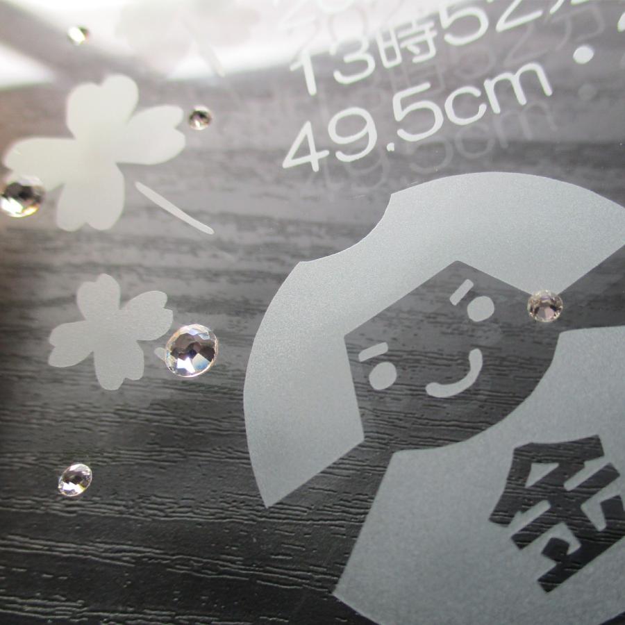 アマゾン漂流 (ケイブンシャ文庫) 　田中 光二　初版本 アマゾン漂流 (ケイブンシャ文庫) 田中 光二 初版本