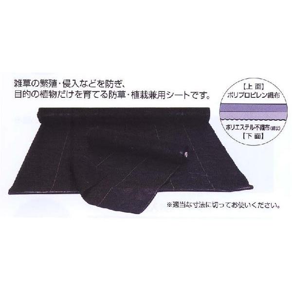 防草・植栽シート ウエトレー 100 （1巻）｜※お届け先：法人様限定