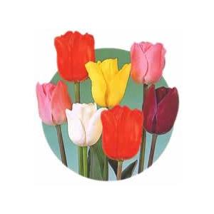 良質チューリップ球根 目玉価格 100球セット Ky Tulip100set ブルーミングスケープ 通販 Yahoo ショッピング