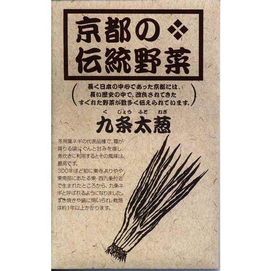 九条太葱 くじょうふとねぎ 種 Se Sknegif ブルーミングスケープ 通販 Yahoo ショッピング