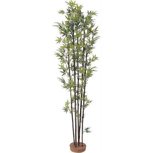 黒竹 5本立（鉢なし） 1.5m内外（人工）｜※お届け先：法人様限定