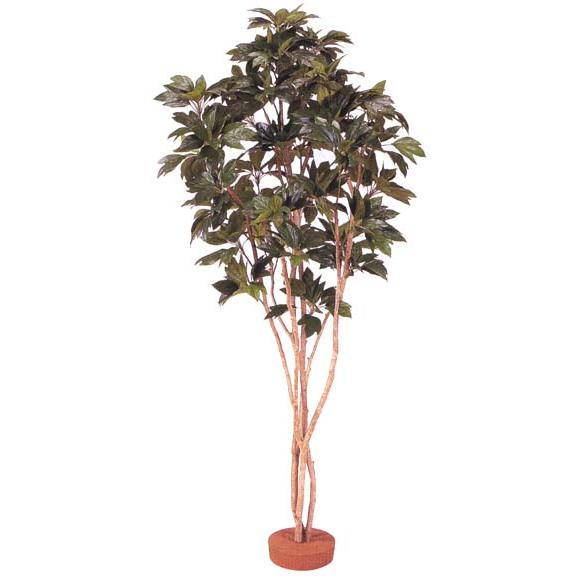 人工観葉植物！カクレミノ（板付）（人工）