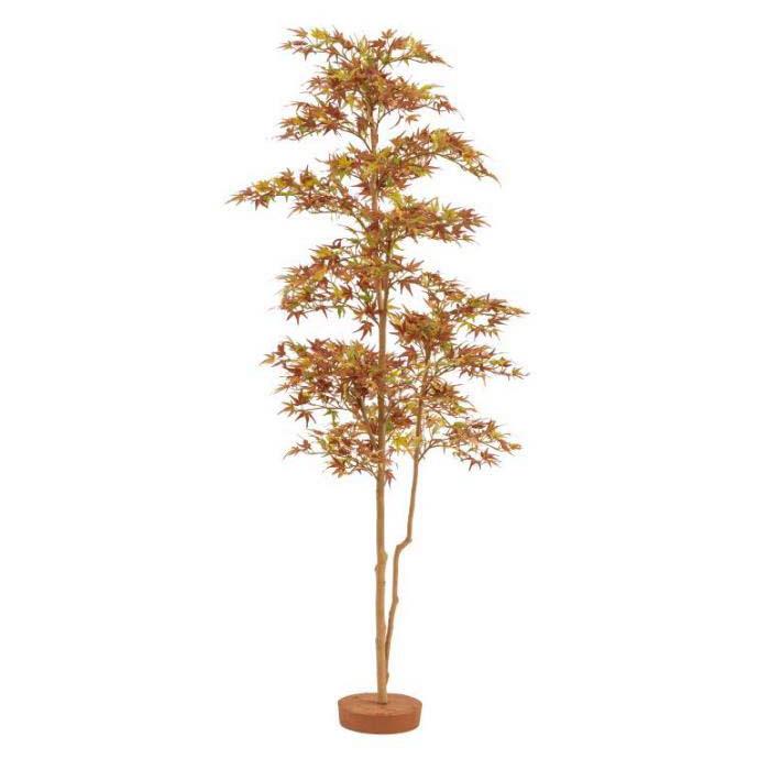 人工観葉植物！紅葉もみじ （鉢なし）1.8m内外（人工）