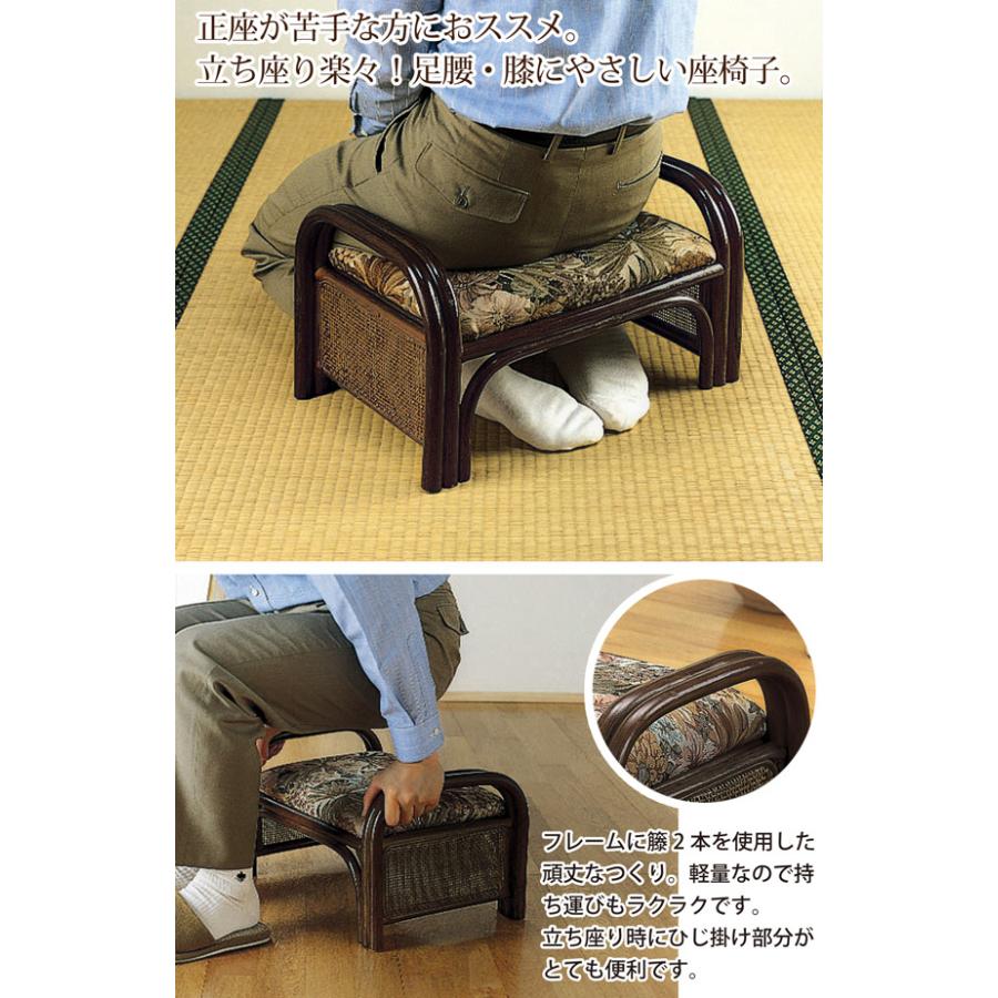今枝商店 座椅子 らくらく座椅子 2組セット 手すり付き 腰掛け ロー 