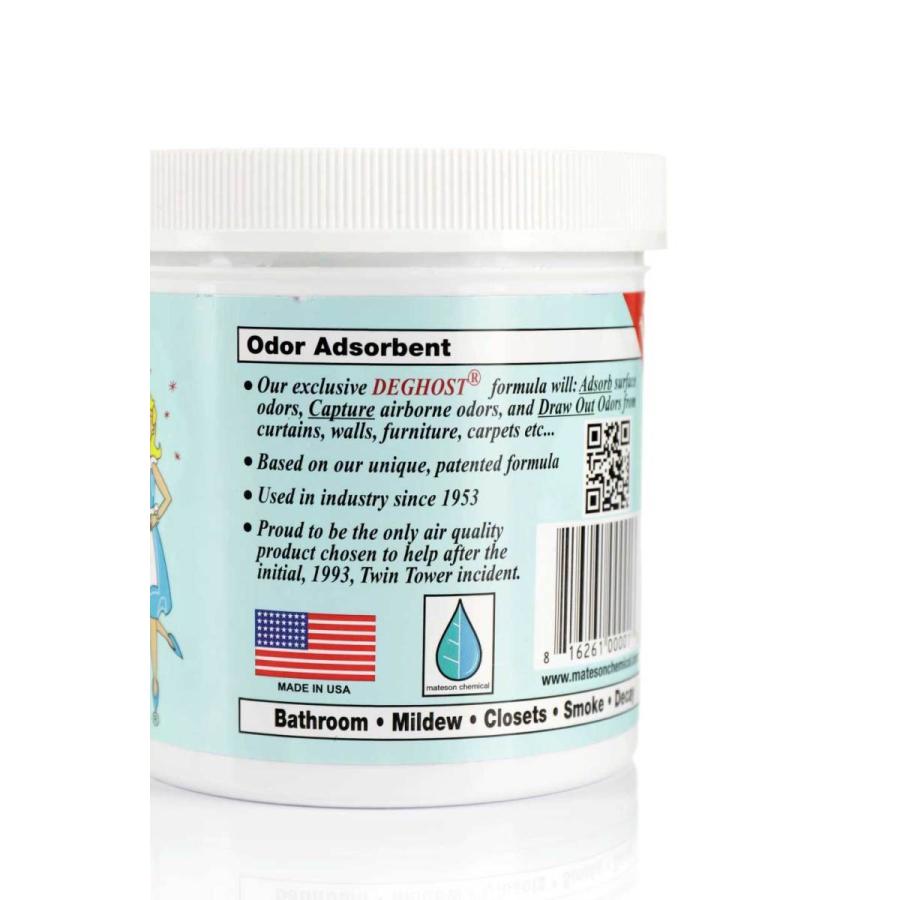 Bad Air Sponge バッドエアスポンジ（強力消臭剤） / from U.S.A. 141382924bloom