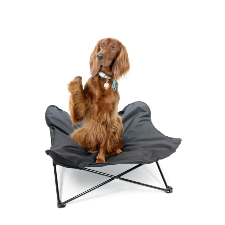 折りたたみ アウトドア キャンプ 犬用ベッド ドッグコット ブラック ｌサイズ blk L Bloom Webshop 通販 Yahoo ショッピング