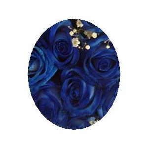 ブルーローズ　ペインテットブルー | 