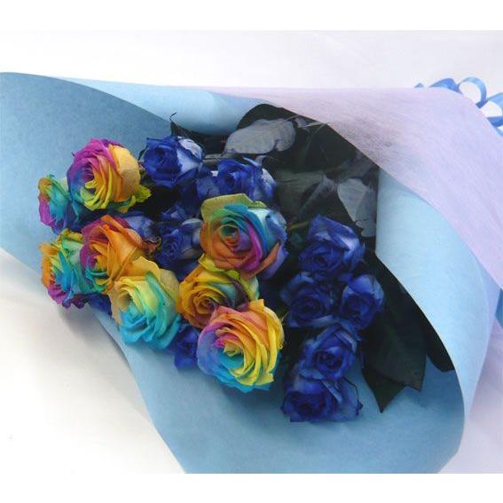 海外輸入 バラの花束 ブルーローズ２０本 レインボーローズ１０本の花束 代引不可 Www Technet 21 Org