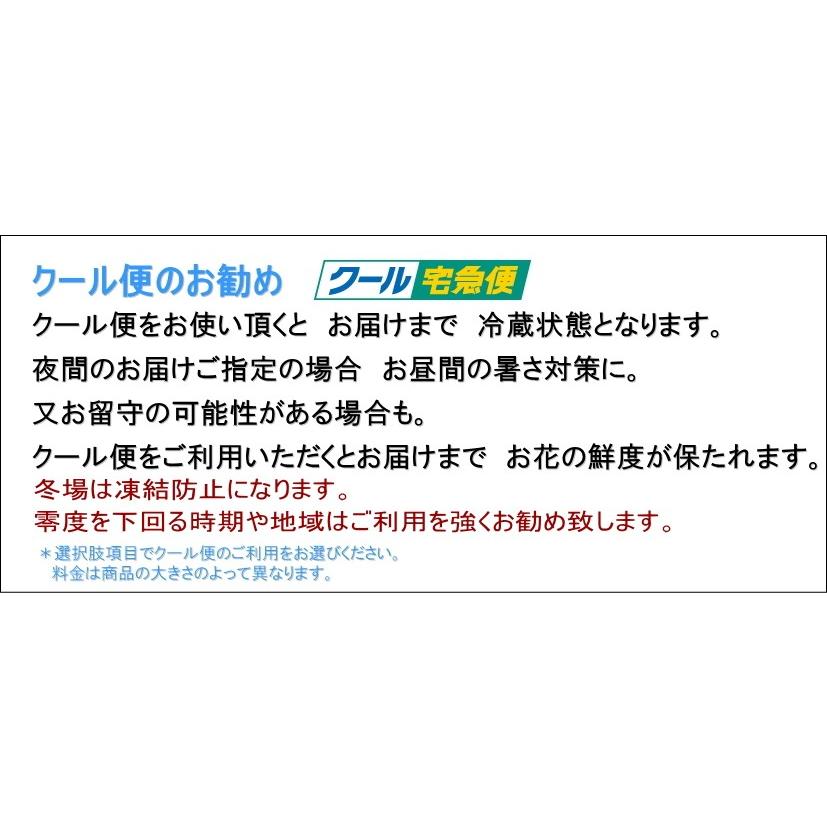 お供え花　お悔やみ 弔事 仏事 命日 弔事花 白＆ピンク　仏花　お彼岸の花　仏花｜bloomart｜06