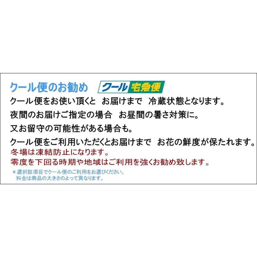 お供え・お悔やみ 弔事 仏事 命日 弔事花 白&黄色・橙 仏花 :bm01-y:フラワーギフト ブルーマート - 通販 - Yahoo!ショッピング お供え・お悔やみ 弔事 仏事 命日 弔事花 白&黄色・橙 仏花 :bm01-y:フラワーギフト ブルーマート - 通販 - Yahoo!ショッピング
