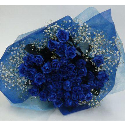 【初版本】青いバラの夢 フジコ・ヘミング 画集 絶版 初版本】青いバラの夢 フジコ・ヘミング 画集 絶版 フジコ