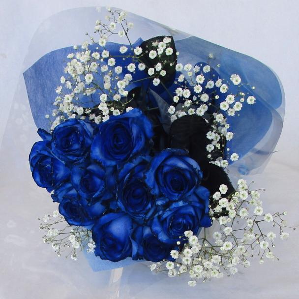 バラ/ペインテッド　ブルーローズ10本＆かすみ草花束 | 