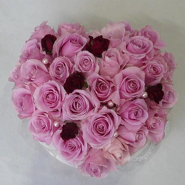 新品 SWIMMER スイマー 豆皿 9cmサイズ 熊 くま クマ くま チョコレート