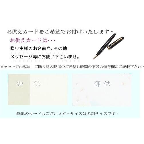 お供えの花/プチガトー　白＆ブルー【お悔みの花】【送料無料】小さいお子様やペットのお悔みに　優しく可愛くお供えのお花を作ります。｜bloomart｜06