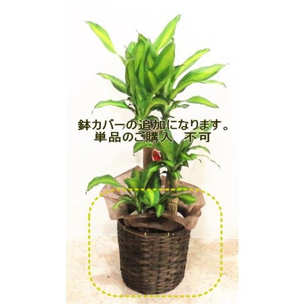 優れた品質 観葉植物 鉢カバー 受け皿 追加 ７号用