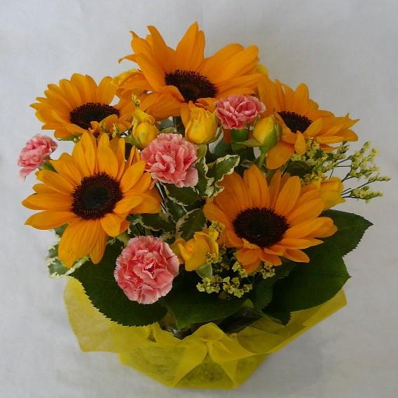 60 以上節約 ひまわりアレンジ ヒマワリ ひまわり Aynaelda Com