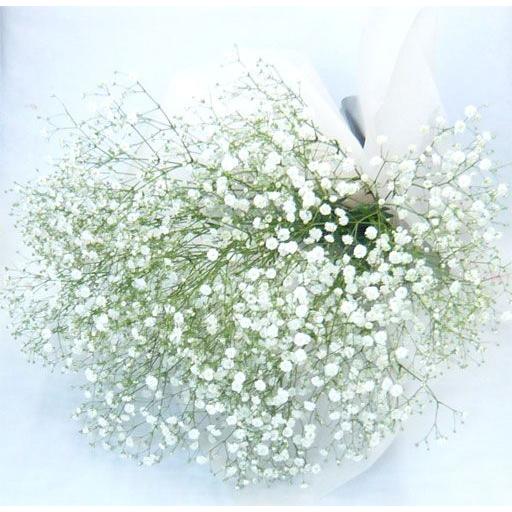 かすみそう花束 誕生日 結婚祝い お供えにも Kasumi01 フラワーギフト ブルーマート 通販 Yahoo ショッピング