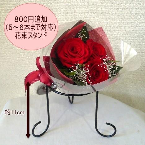 プリザーブドフラワー カーネーション花束レッド 3本 母の日 Pz5 581k フラワーギフト ブルーマート 通販 Yahoo ショッピング