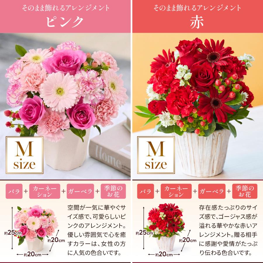 bloomee（ブルーミー） 花 ギフト 誕生日 アレンジ プレゼント 2026 父