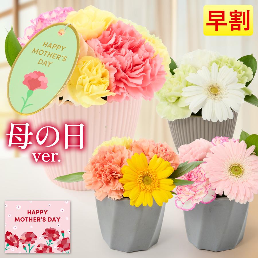 bloomee（ブルーミー） 母の日 ギフト カーネーション 花 フラワー