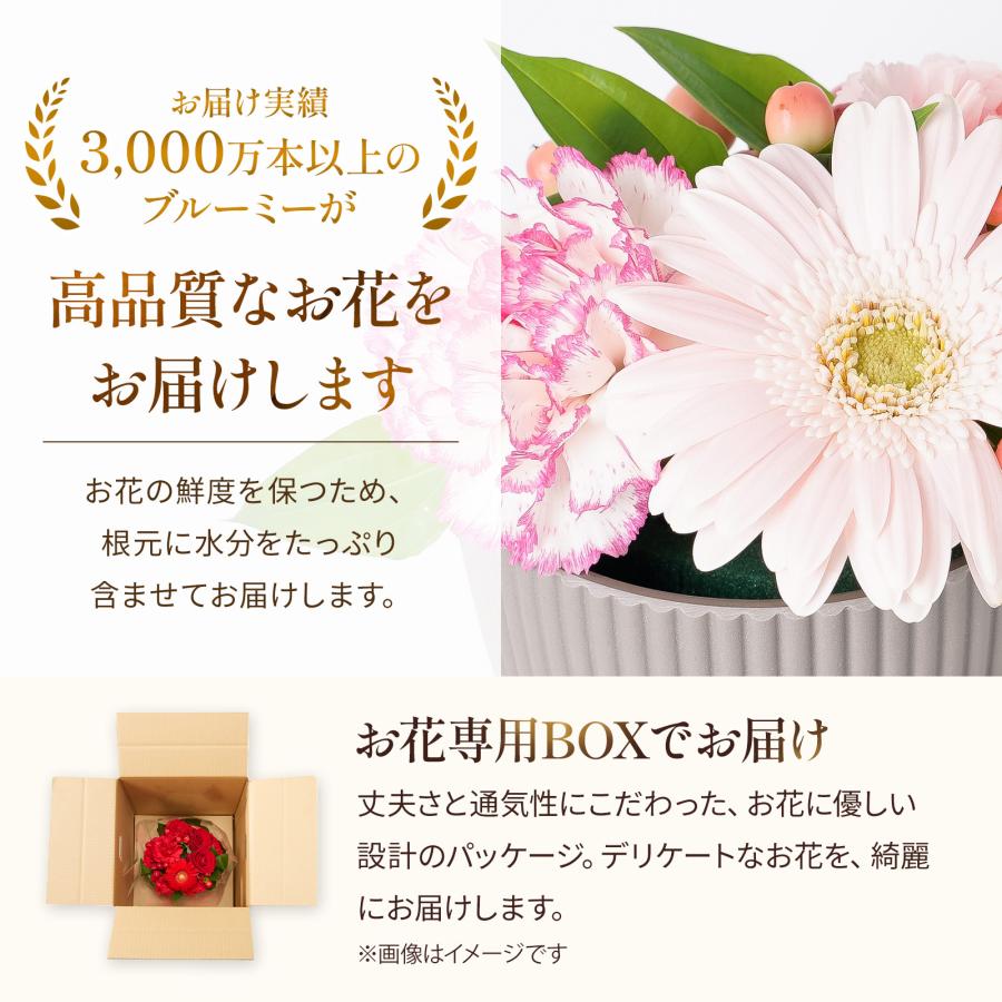 bloomee（ブルーミー） 母の日 ギフト カーネーション 花 フラワー