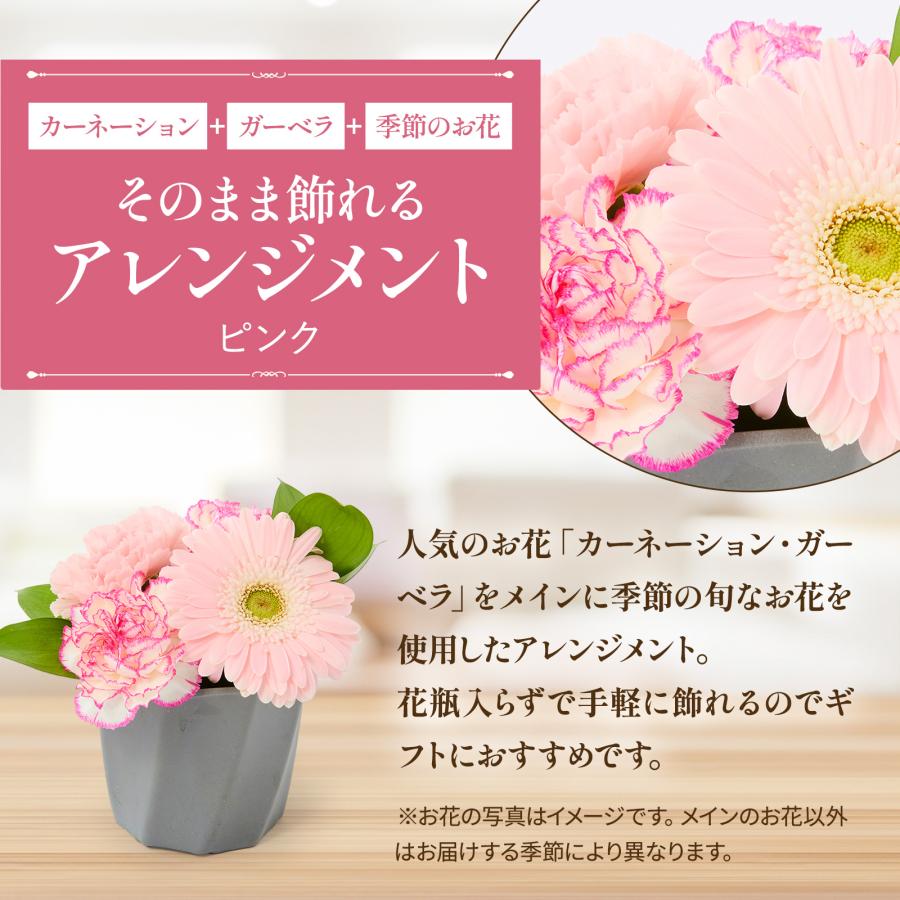 bloomee（ブルーミー） ギフト カーネーション 花 フラワーアレンジ