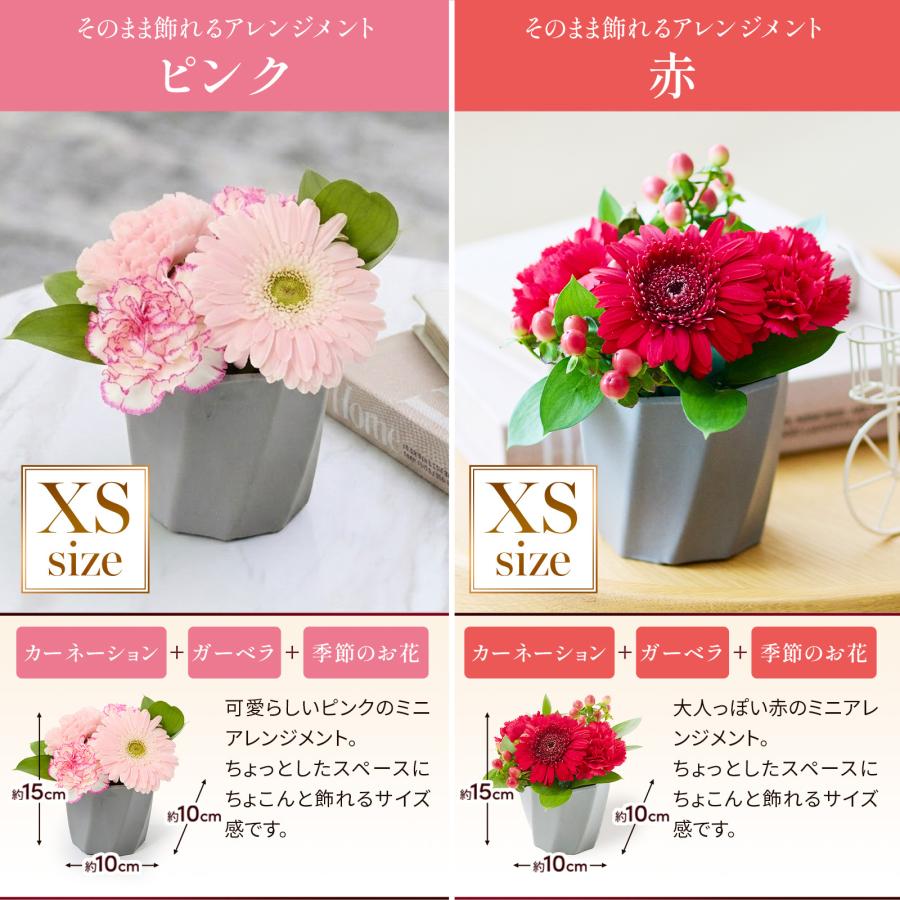 bloomee（ブルーミー） ギフト カーネーション 花 フラワーアレンジ