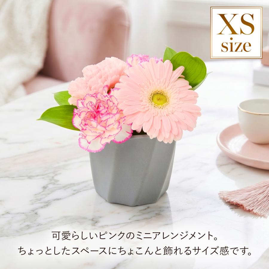 bloomee（ブルーミー） ギフト カーネーション 花 フラワーアレンジ