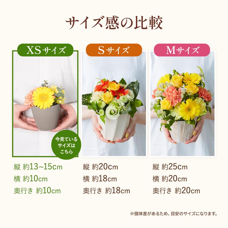bloomee（ブルーミー） ギフト カーネーション 花 フラワーアレンジ