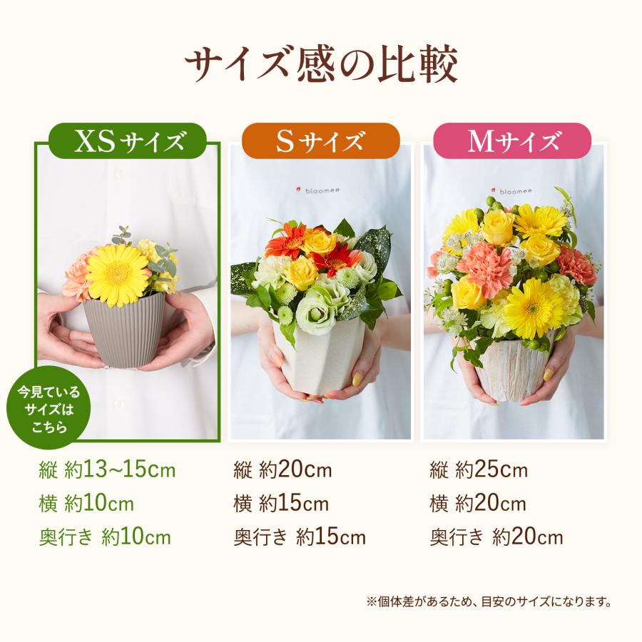 bloomee（ブルーミー） 母の日 ギフト カーネーション 花 フラワー
