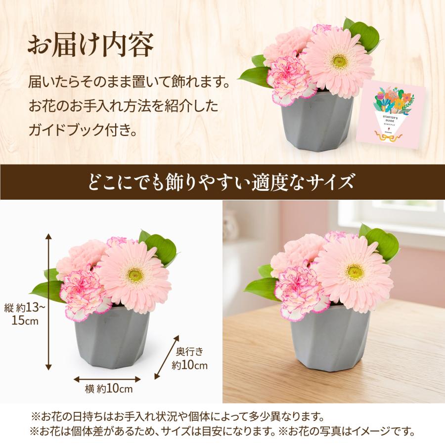 bloomee（ブルーミー） ギフト カーネーション 花 フラワーアレンジ