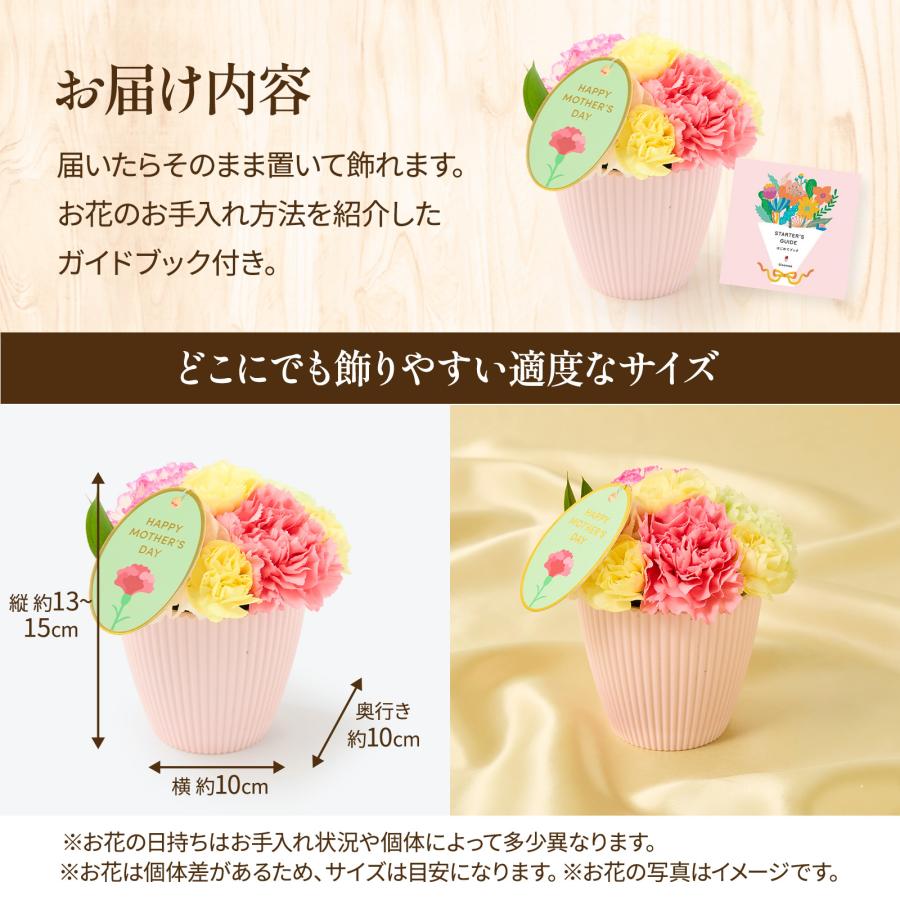 bloomee（ブルーミー） 母の日 ギフト カーネーション 花 フラワー