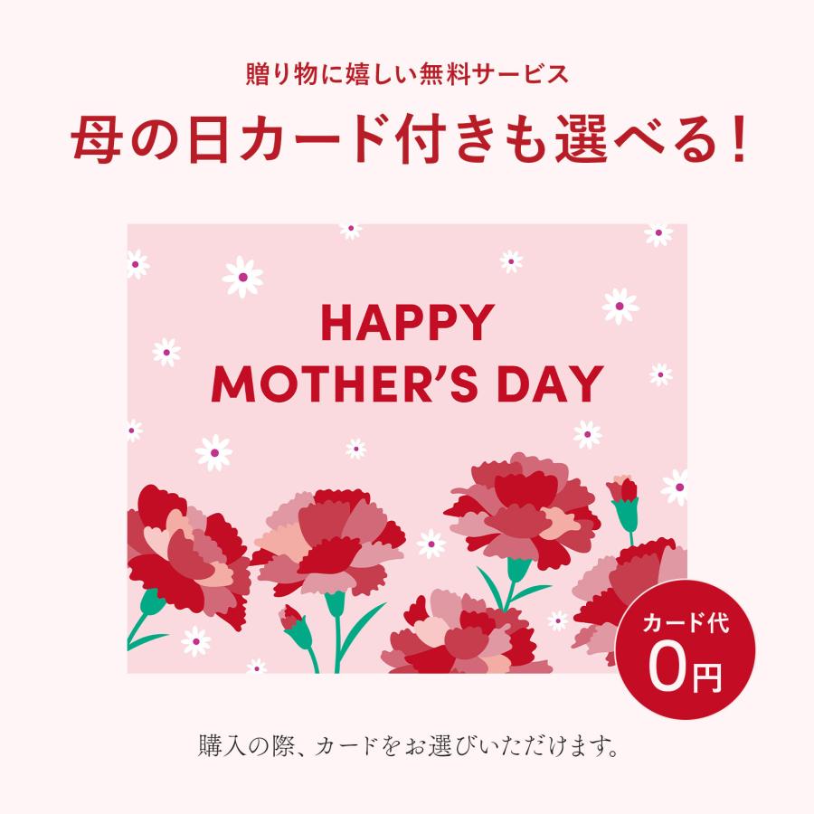母の日 花束 ギフト 2026 カーネーション バラ ガーベラ Sサイズ ブーケ 誕生日 フラワーアレンジ プレゼント 義母  生花 お祝い 退職 卒業 送料無料 | bloomee | 09