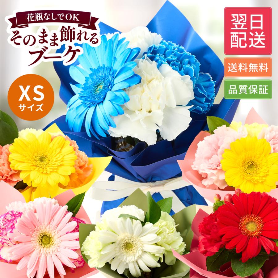 bloomee（ブルーミー） ギフト カーネーション 花 2026 プレゼント XS