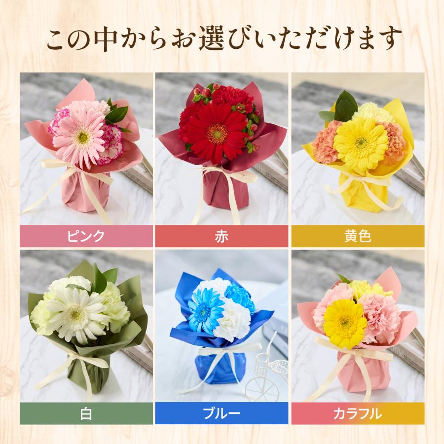 bloomee（ブルーミー） ギフト カーネーション 花 2026 プレゼント XS