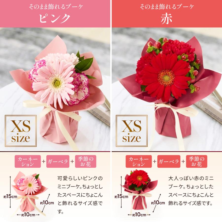 bloomee（ブルーミー） ギフト カーネーション 花 2026 プレゼント XS