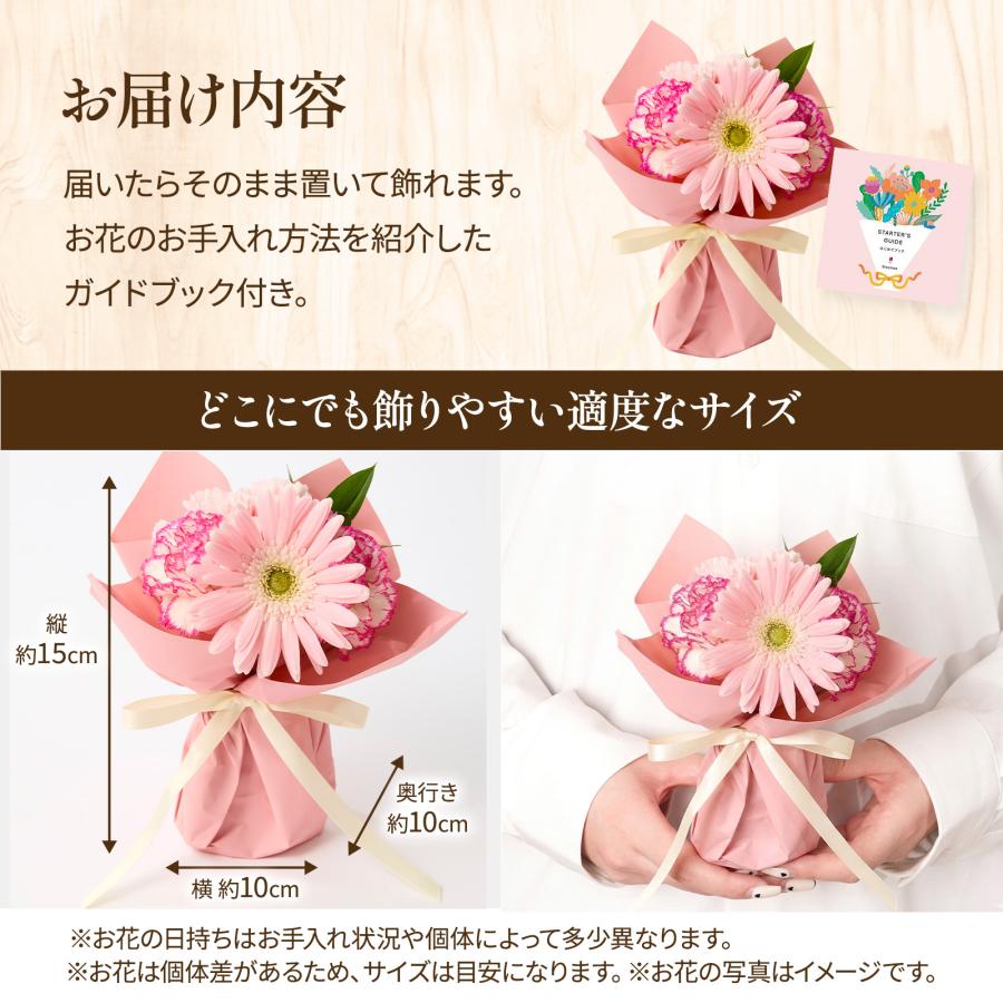 bloomee（ブルーミー） ギフト カーネーション 花 2026 プレゼント XS