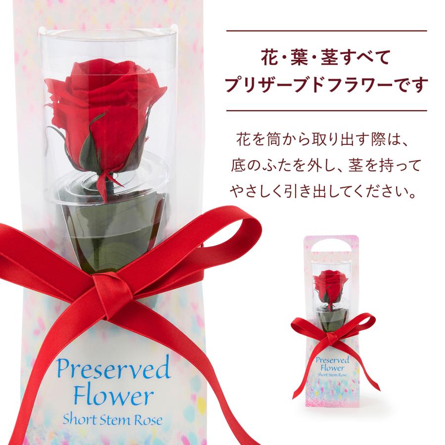 女性 ギフト 結婚記念日 誕生日 プリザーブドフラワー バラ クマの