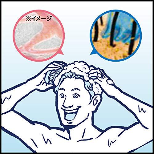 サクセス 頭皮洗浄ブラシ 血行促進 ふつう : Bloom Gate - 通販