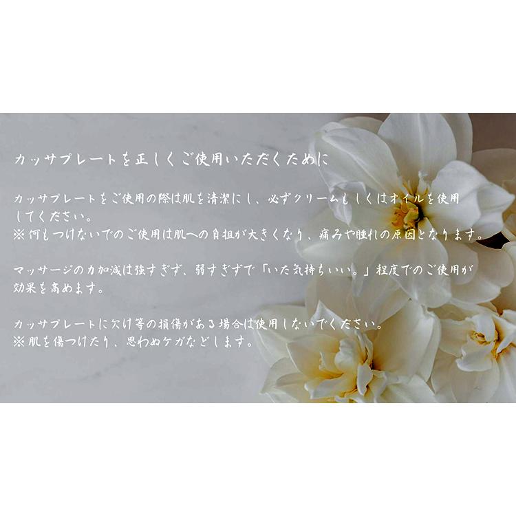かっさ フェイスケア ボディーケア マッサージ ガラス 誕生日 プレゼント カッサ 「Leaf」−ミモザー−　江戸硝子 かっさプレート |  | 04