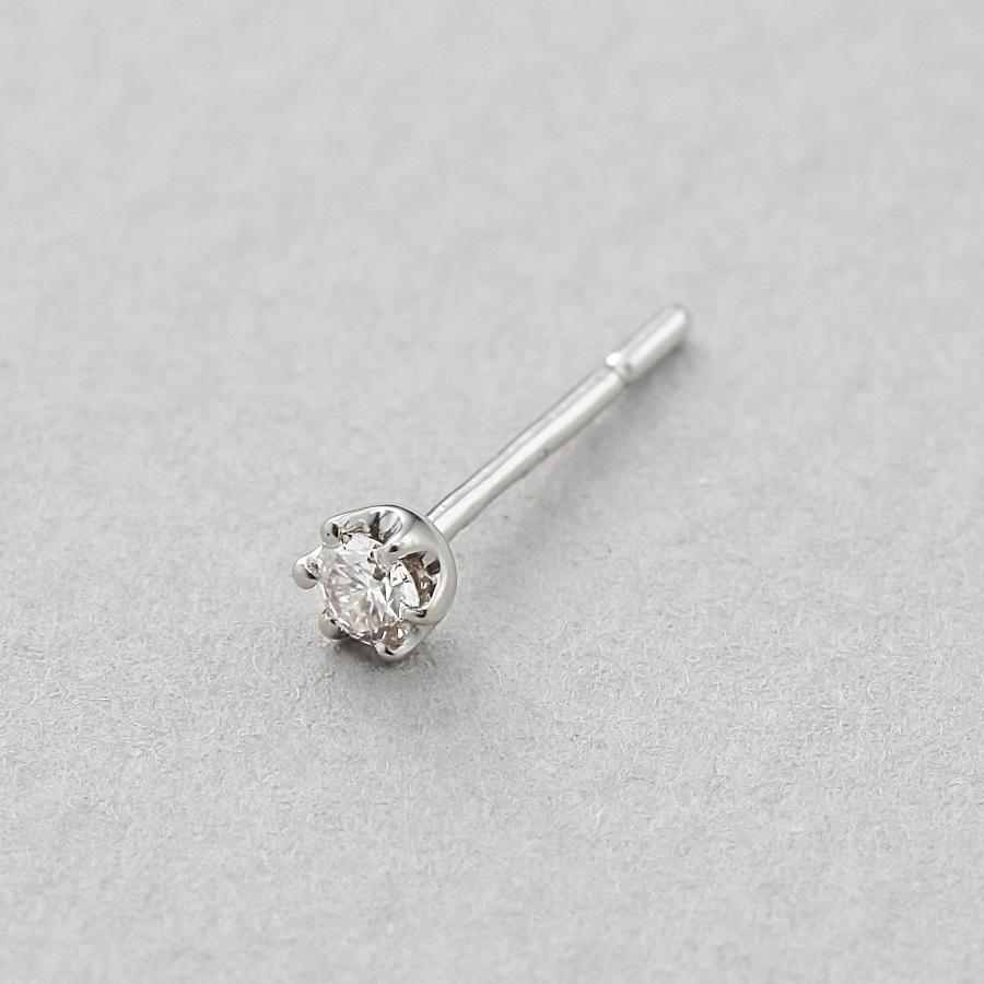 メール便なら送料無料 ピアス レディース プラチナ ダイヤモンド Bloom ブルーム プレゼント 普段使い 卒業式 卒園式 入学式 入園式 Bloom Online Store 通販 Paypayモール 21年春夏再入荷 Mercurytechnologies Mn Com