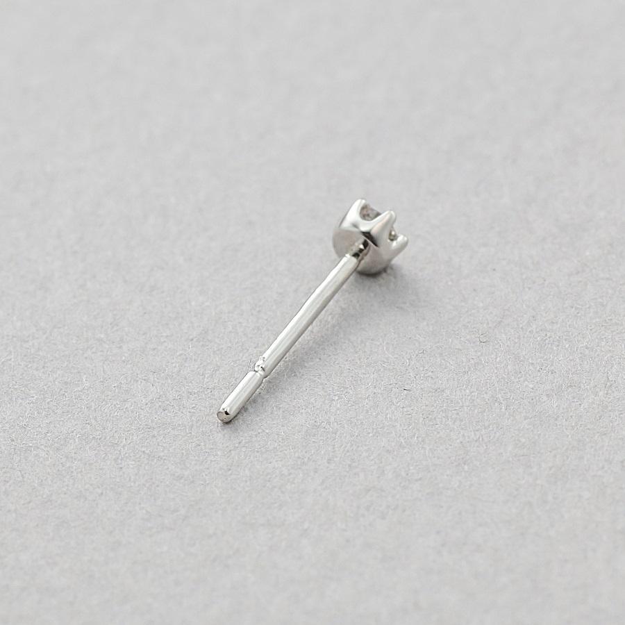 メール便なら送料無料 ピアス レディース プラチナ ダイヤモンド Bloom ブルーム プレゼント 普段使い 卒業式 卒園式 入学式 入園式 Bloom Online Store 通販 Paypayモール 21年春夏再入荷 Mercurytechnologies Mn Com